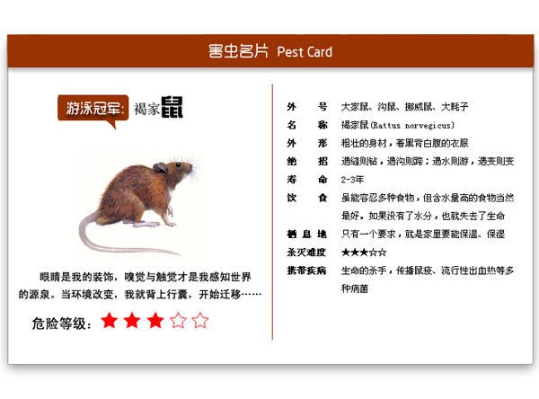 鼠類防治