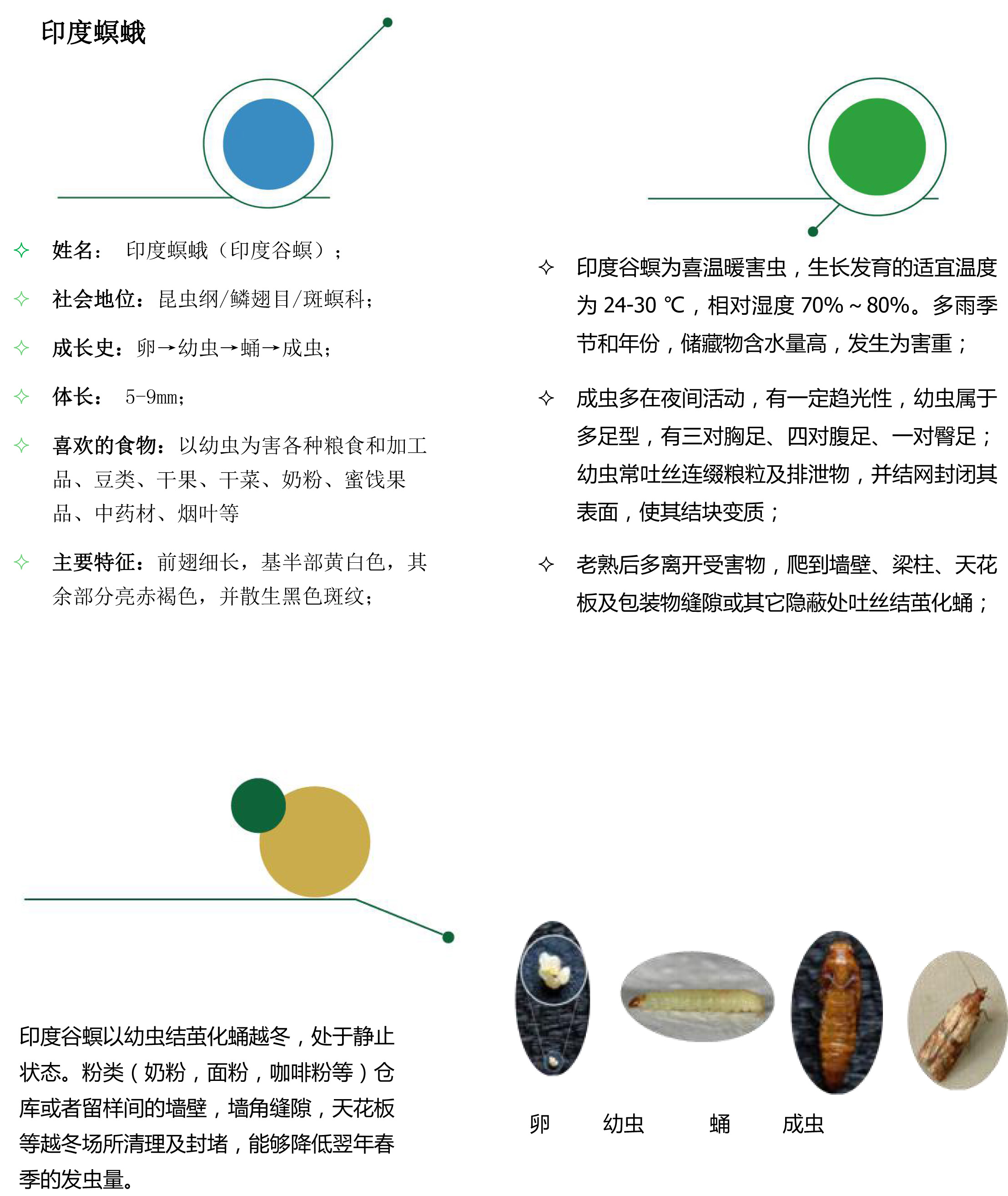 倉儲害蟲（儲量害蟲）-1.jpg