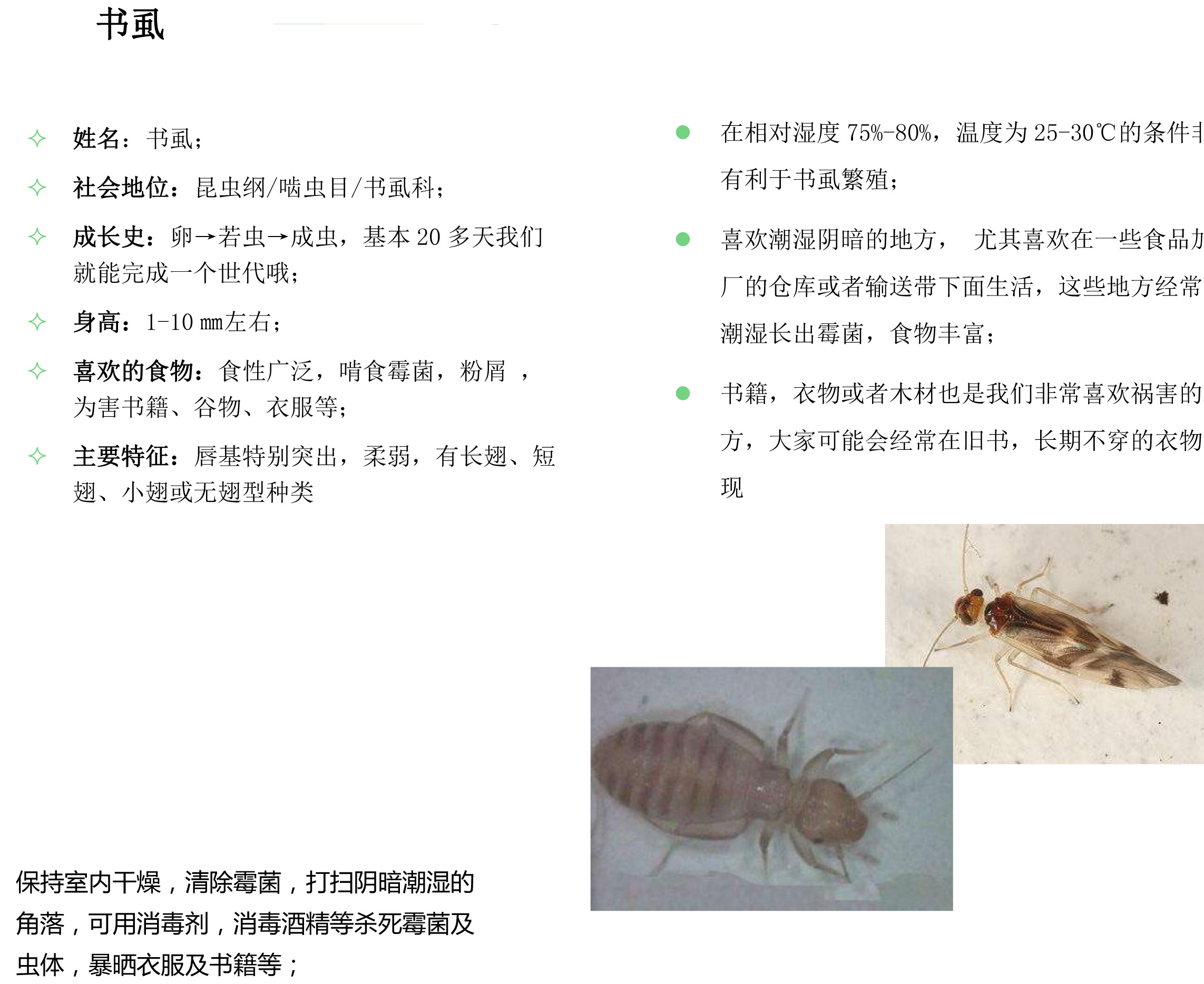 其他害蟲-1.jpg